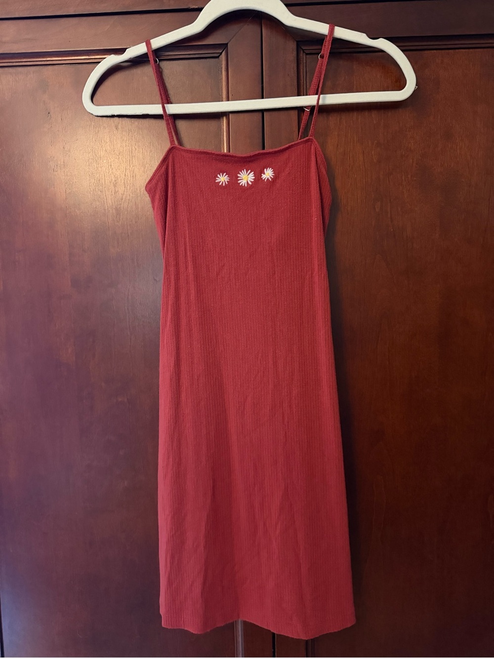 Spaghetti Strap Mini Dress with Daisy Embroidery in Rust Red